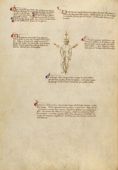 Fiore dei Liberi by Fiore dei Liberi